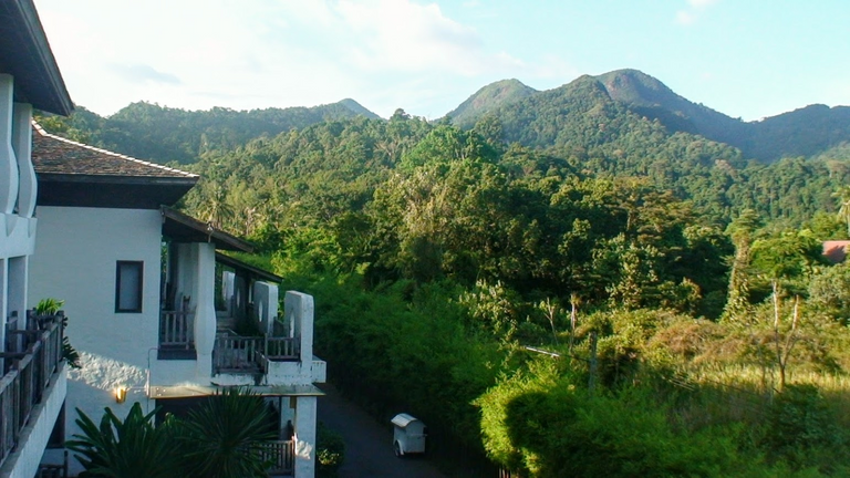 Surrounded of jungle and near the beach....