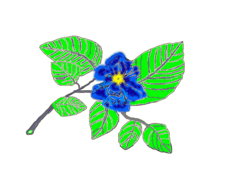 Nature-Flower-1.png