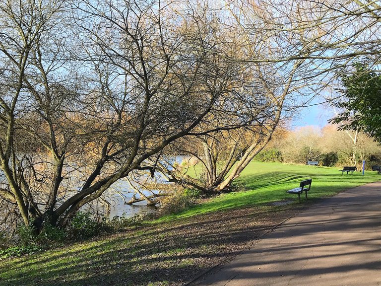 My Local Lake from Different View Points ~ My Smartphone Photography