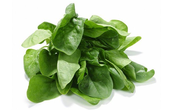 Spinach_2337460b.jpg