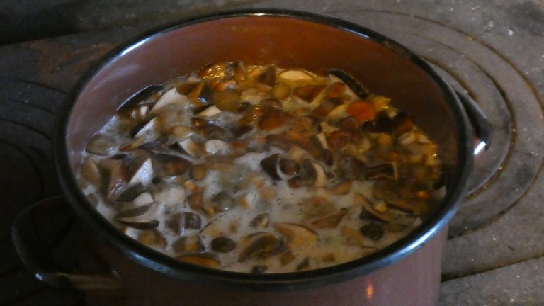 P1020140a.jpg