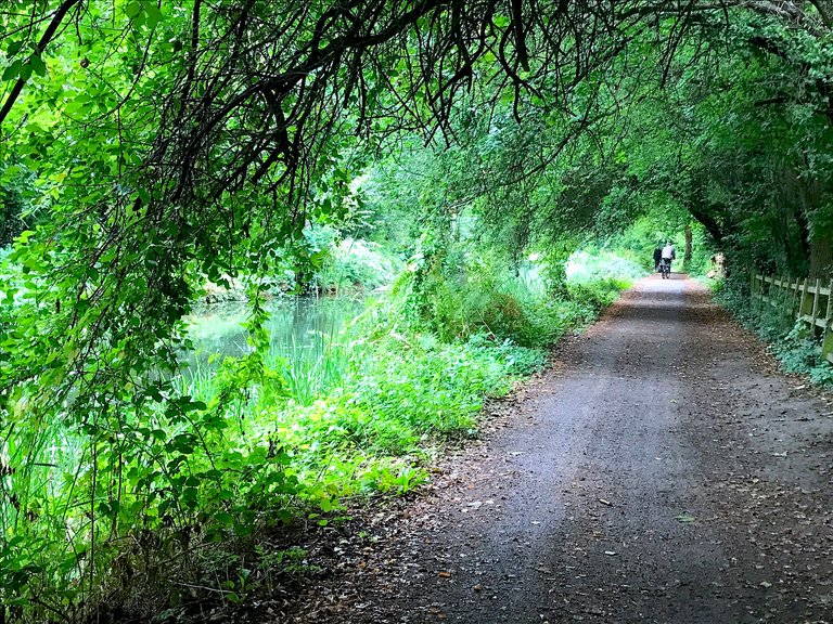 Green-105.JPG