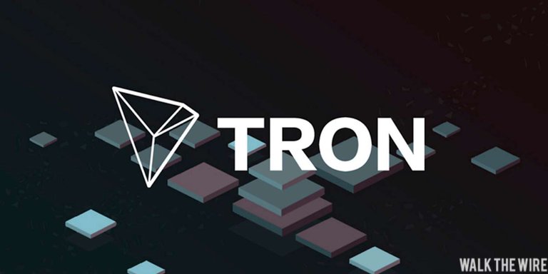 TRON_Walk_the_Wire_Logo.jpg