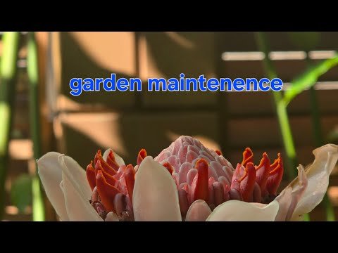 Widing my garden  for helping new baby plant growing