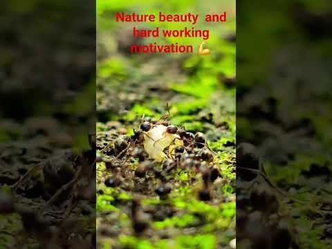 Nature teaching us always be together like a family ..