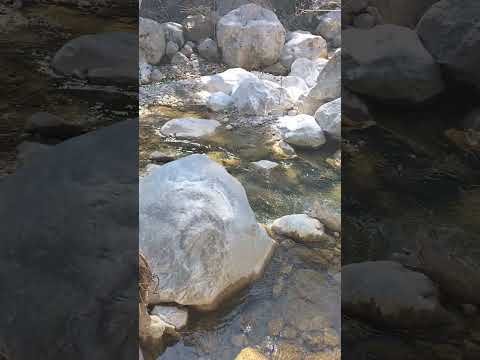 Gökdere Amidst the Sounds of Water /  Su sesleri Arasında Gökdere ( EN-TR)