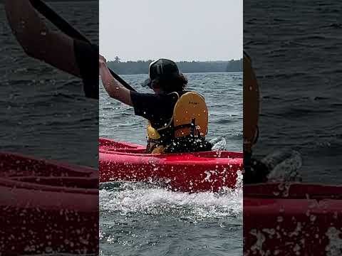 Free Art Frees Art … paintings from Lake Ontario, Canada