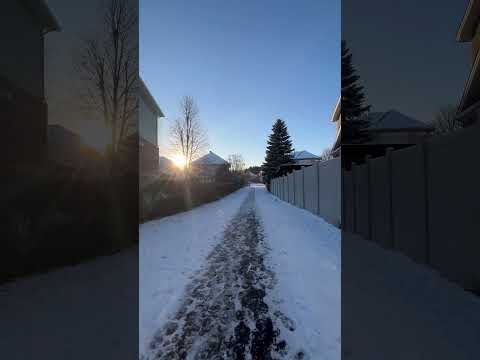 Sunset walk in the snow