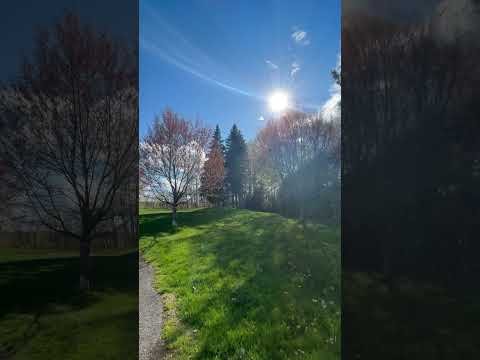 Bright sunny Day in the Wild Northeast