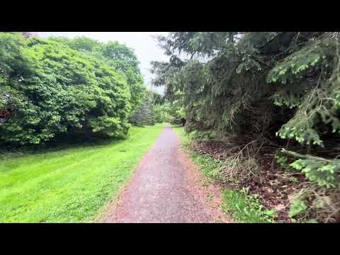 Spooky walk in the rain …