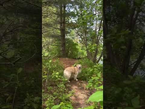 Happy Trails with Lola 🎥 🐕