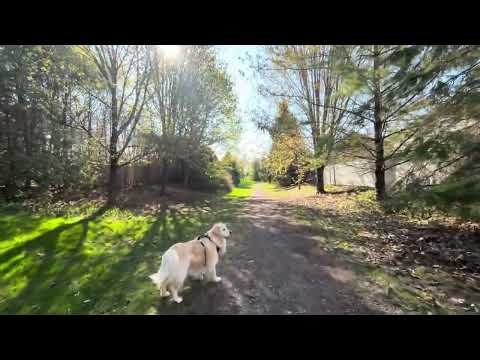 A beautiful sunny day in the Wild Northeast