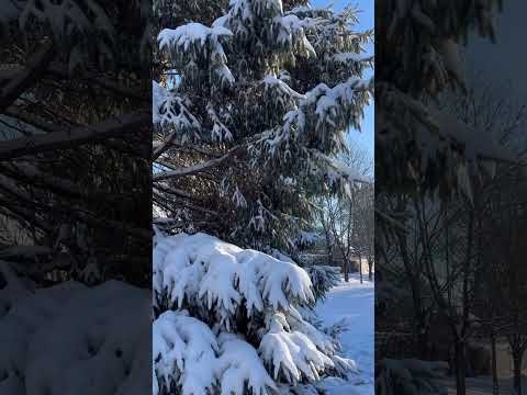 A very cold day up North