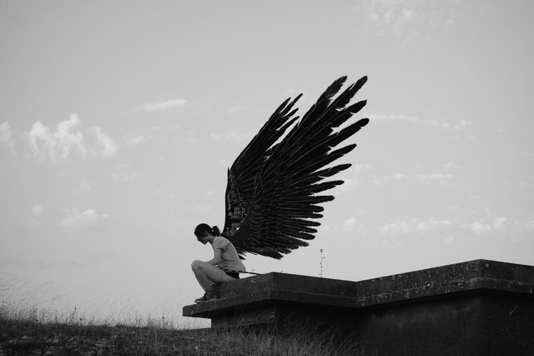 Wings of freedom by White-crows-art