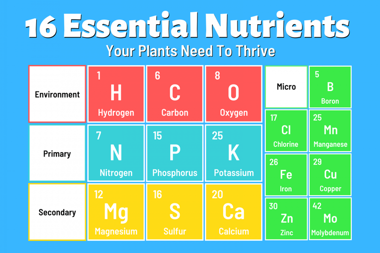 16-Essential-Nutrients