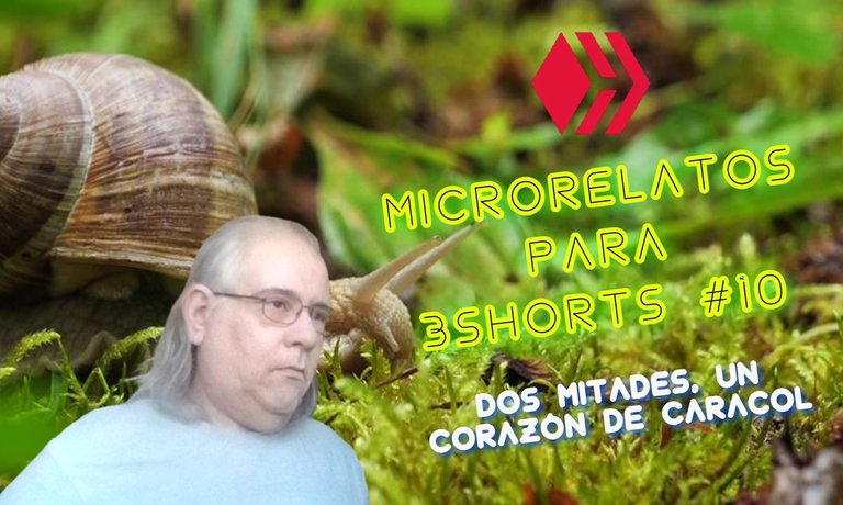 Dos Mitades, Un Corazón de Caracol - Microrelato #10 (Subtitles) [ESP-ENG]