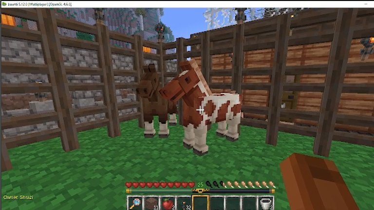 🐴Horse breeding🐴 in Luanti game (Neoxian City Server)