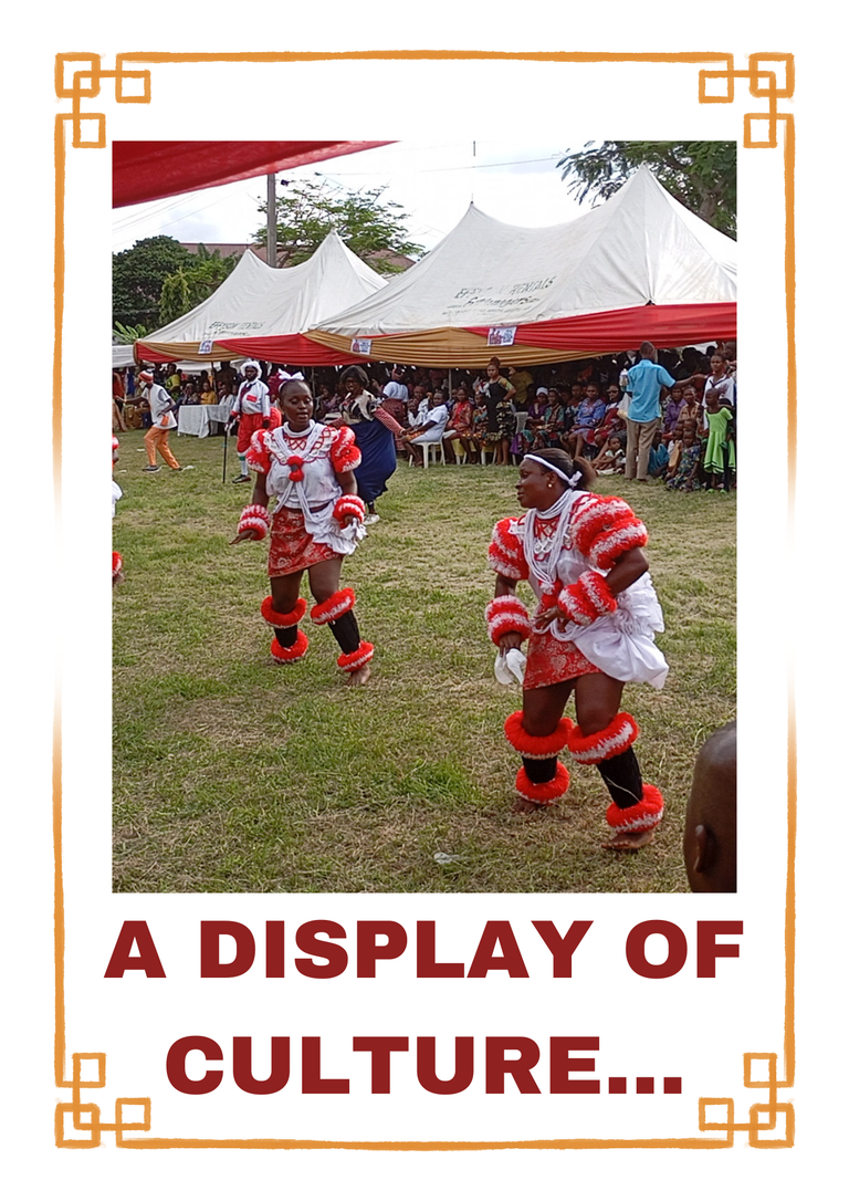 A CULTURAL DANCE DISPLAY.