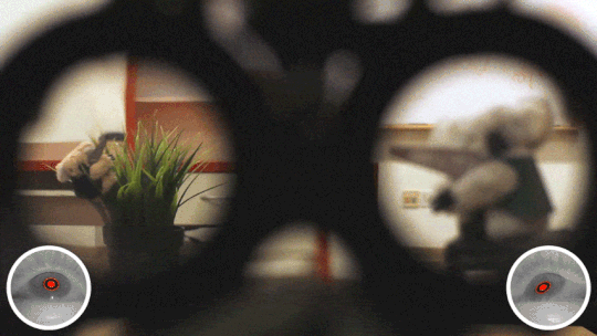 autofocals__v2_480p-min.gif