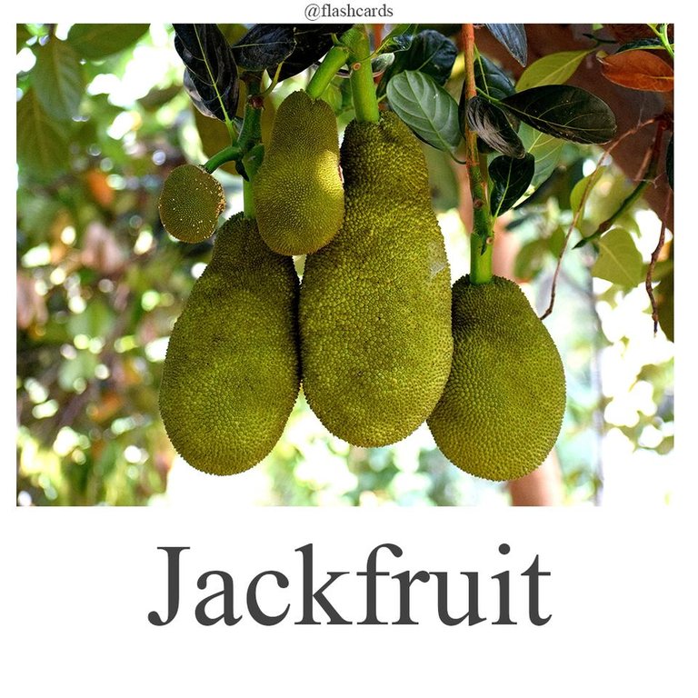 Jackfruit.jpg