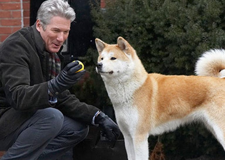 hachiko_900_1.jpg