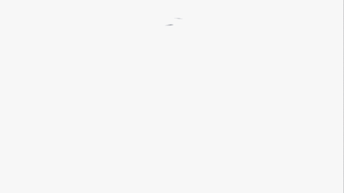 1_9qS5ifFxf4cdKQGDP8_fmw.gif