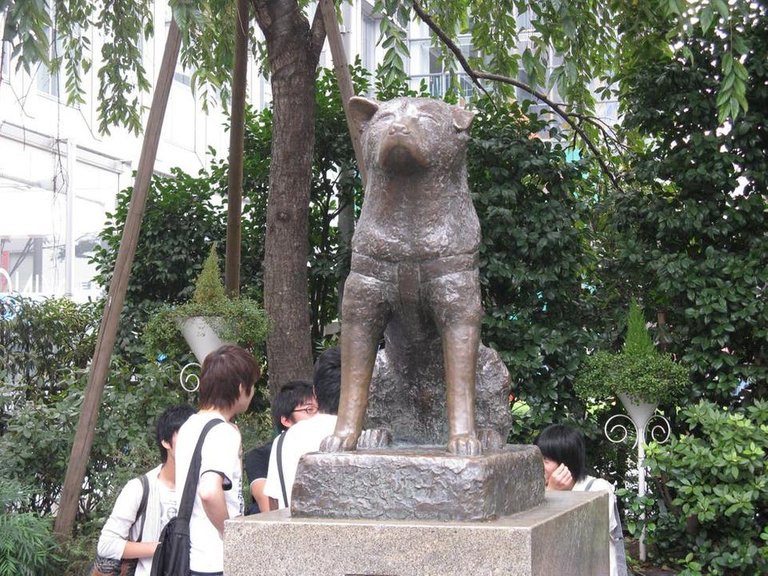 hachiko (2).jpg