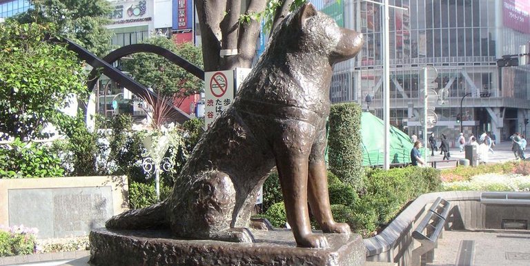 Hachiko-estatua-historia-euroresidentes.jpg