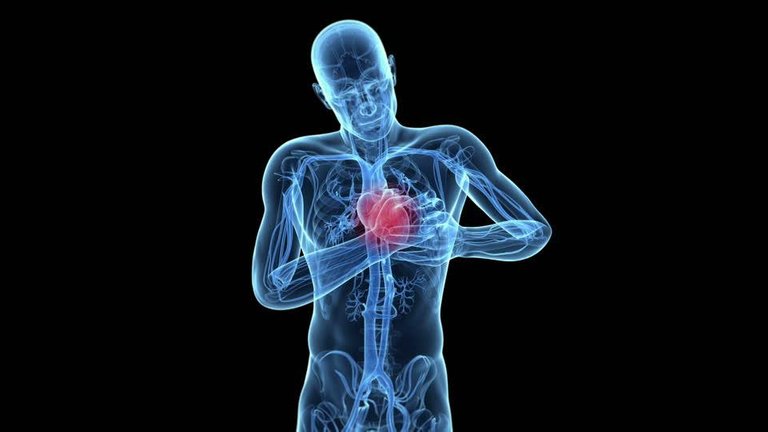 743717983-cardiac-infarction-abnormality-cardiovascular-system-unhealthy-living.jpg