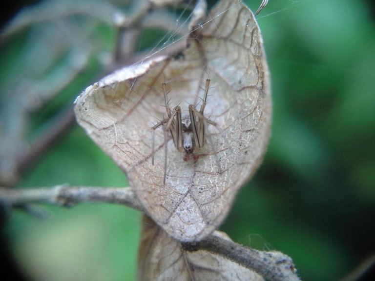 20180618_155429.jpg