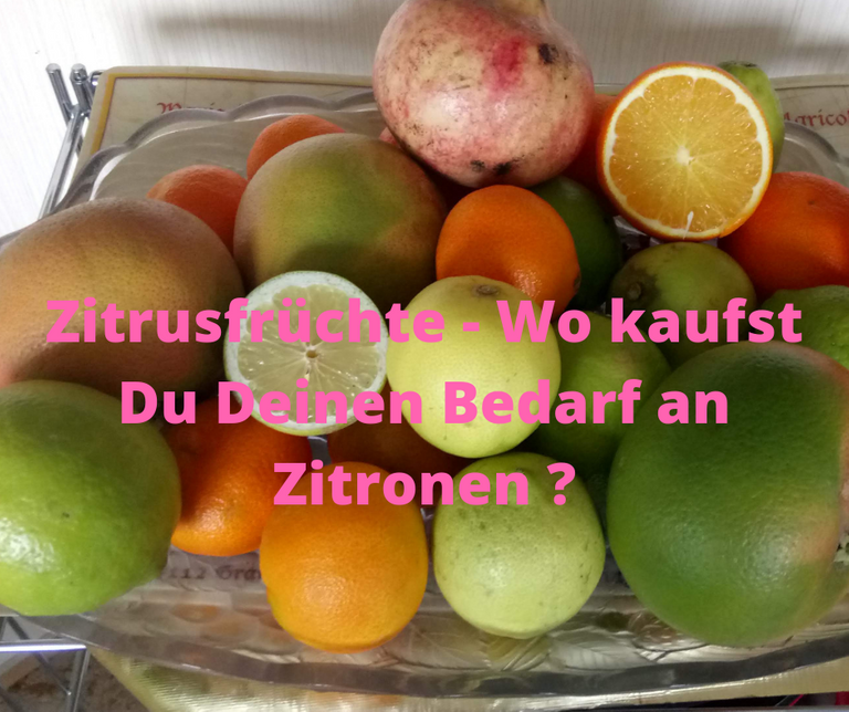 Zitrusfrüchte - Wo kaufst Du Deinen Bedarf an Zitronen _.png