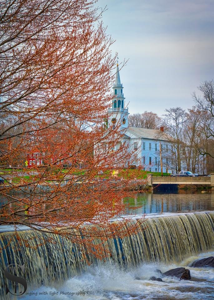 1 Tree Tuesday by the Duck Pond-2.jpg