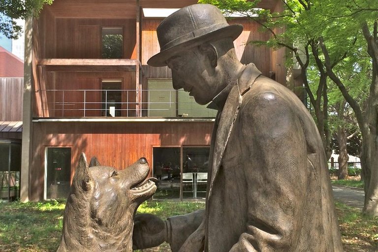 tokyo-hachiko-statue-university-of-tokyo-113699.jpg