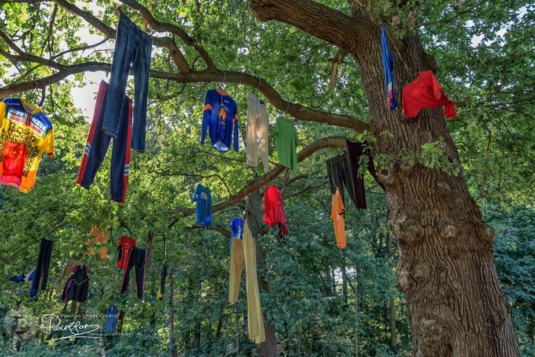 dirty_laundry_day.jpg