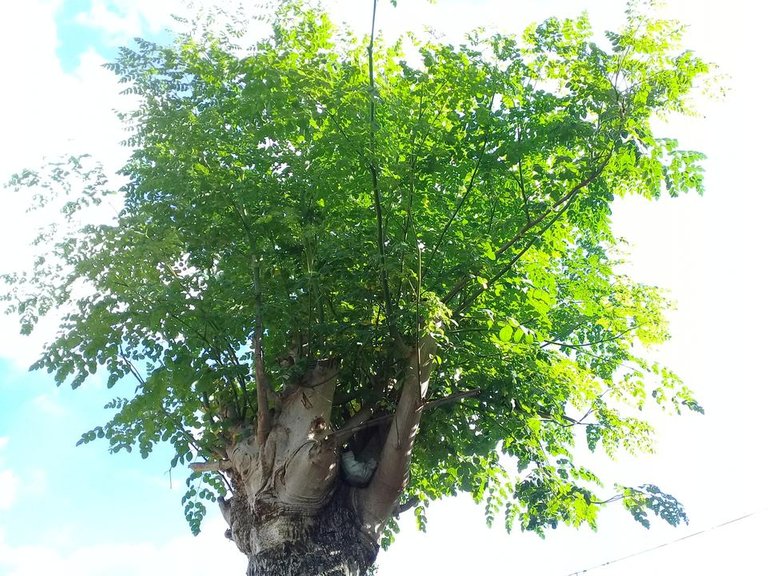 20181025_143339.jpg