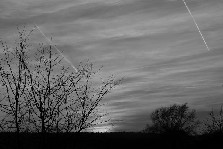 sunset poland bw sil.jpg