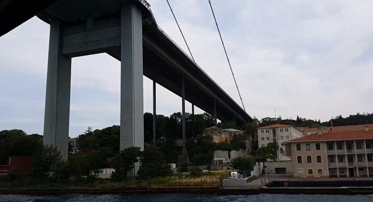 837.jpg