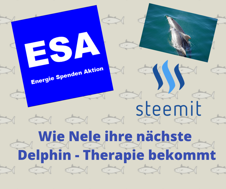 Wie Nele ihre nächste Delphin - Therapie bekommt.png