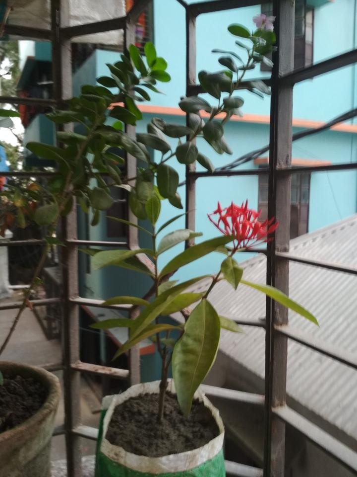 IMG_20181009_164748.jpg