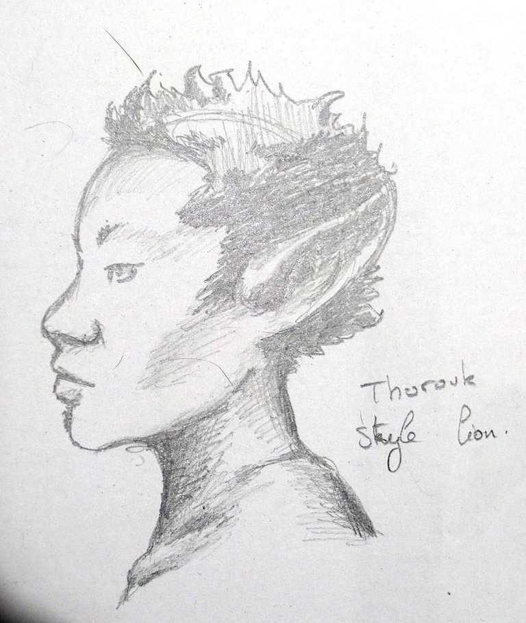 Thorouk - test visage.jpg