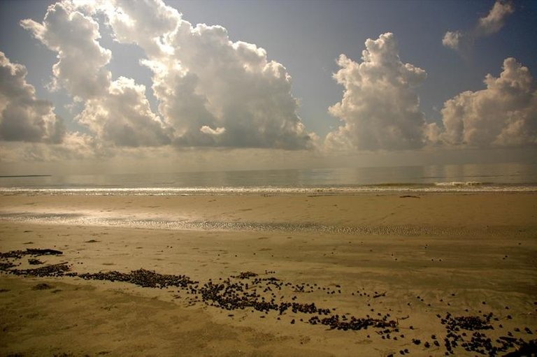 Mudflat_and_clouds_in_Sundarbans.jpg