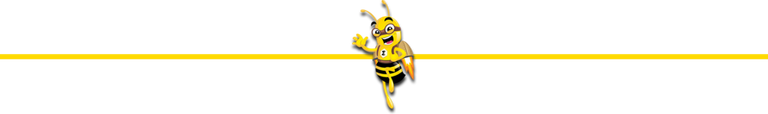 smartbee-devider.png