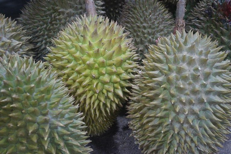 durian-fruit-2720388_960_720.jpg