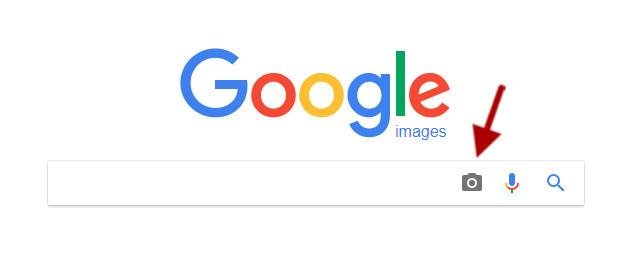 google_image_detail.jpg