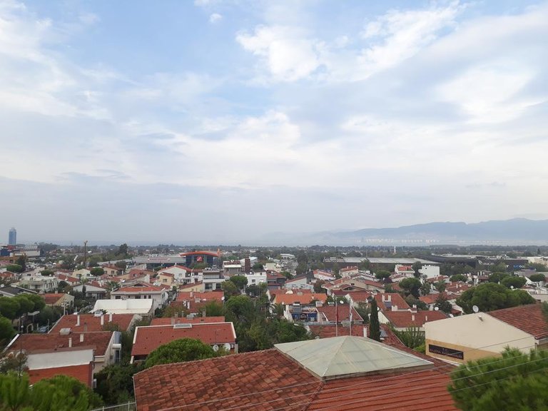 20180930_172831.jpg
