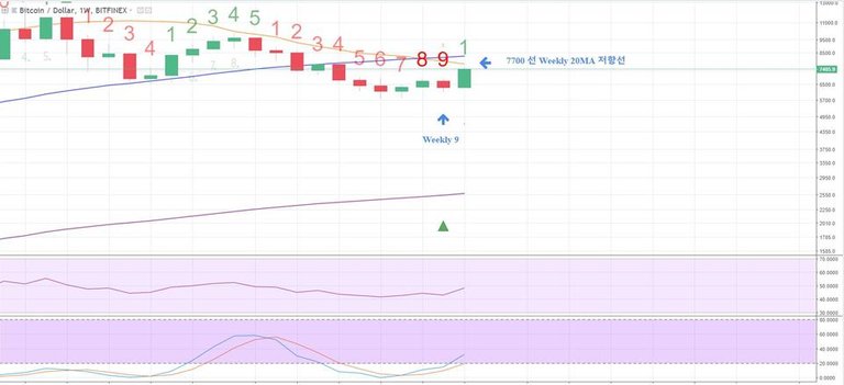 BTC TD 1W.JPG