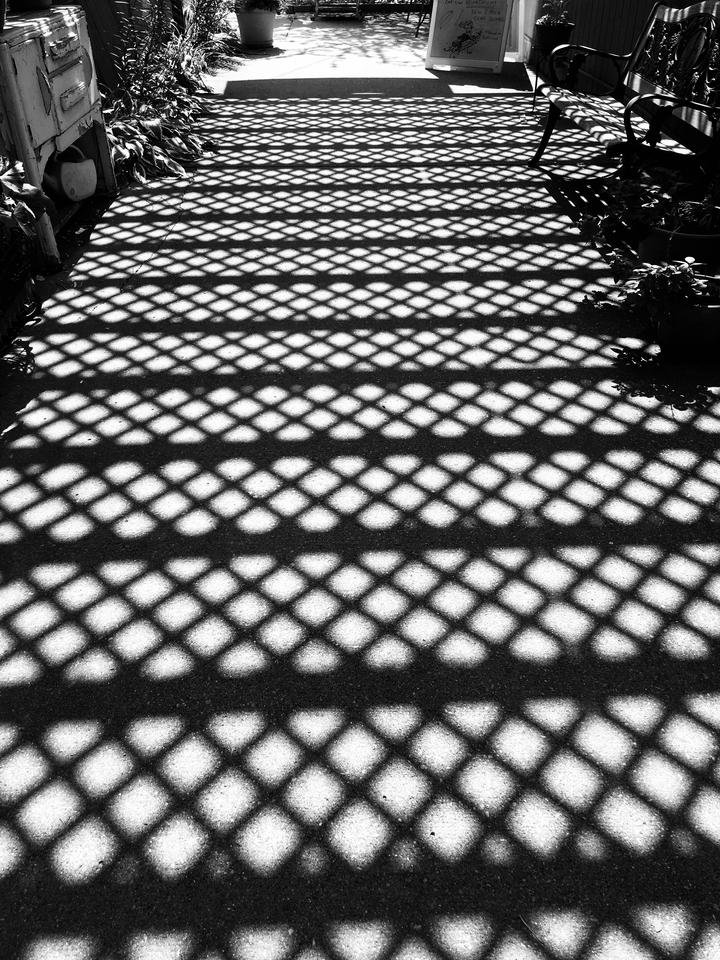trellis bw.jpg