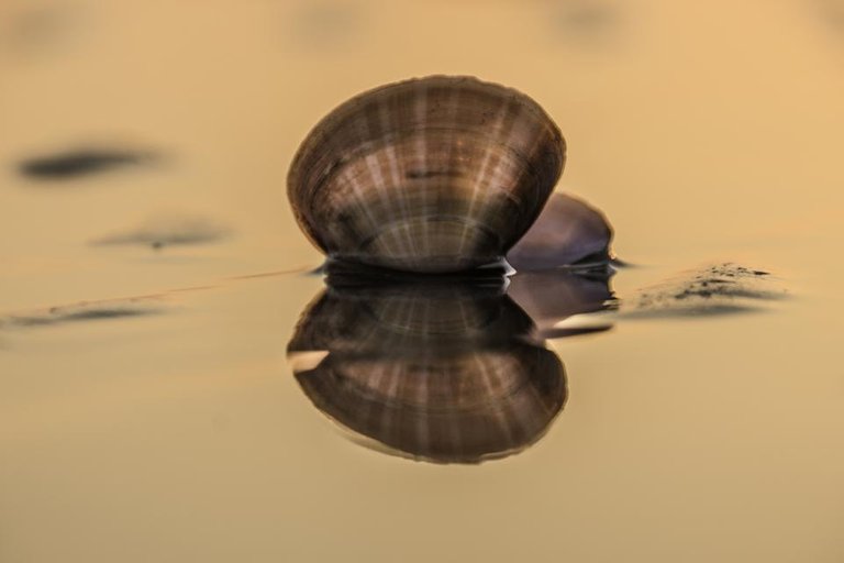 cefn sidan - by steve j huggett.jpg