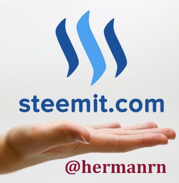 steem.jpg