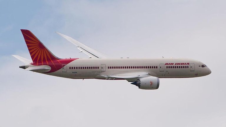 072488200_1521884196-1024px-Air_India_Boeing_787_Dreamliner_N1008S_PAS_2013_02 (1).jpg